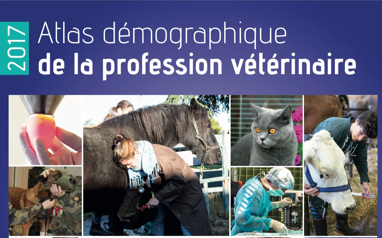 Couverture de l'Atlas démographique 2017 de la profession vétérinaire, avec photos d'animaux et de praticiens