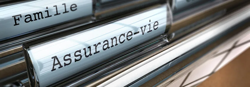Onglets de classeurs métalliques étiquetés « Famille » et « Assurance-vie »