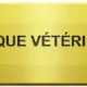 Plaque dorée « Clinique vétérinaire » vissée aux quatre coins