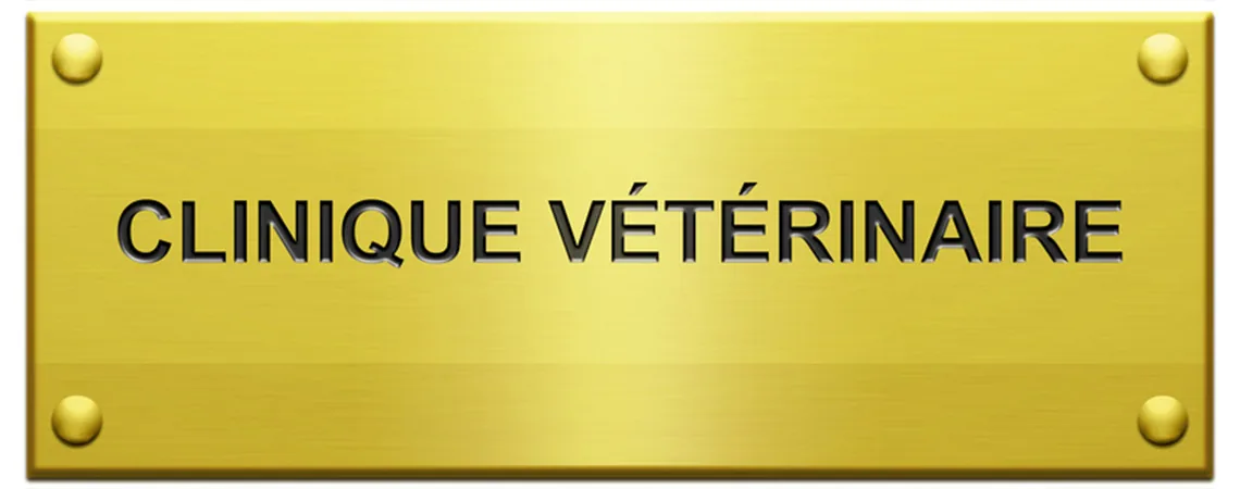 Plaque dorée « Clinique vétérinaire » vissée aux quatre coins