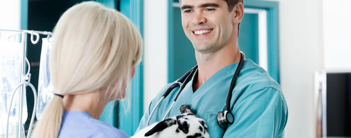 Vétérinaire souriant en tenue verte tenant un chiot dalmatien devant une collaboratrice